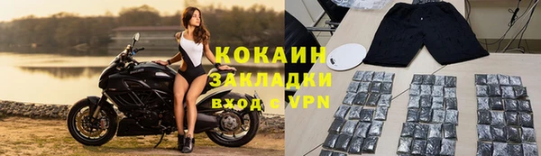 сатива Нефтекумск