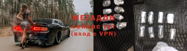 прущие грибы Новодвинск