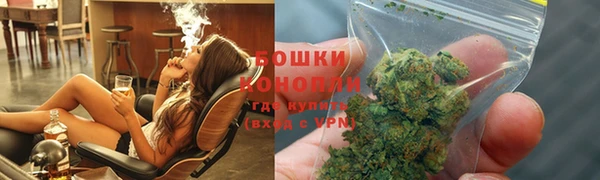 сатива Нефтекумск