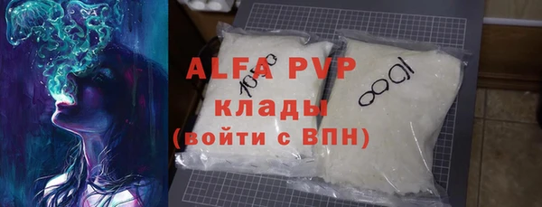 прущие грибы Новодвинск