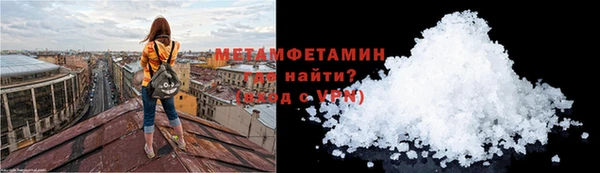 сатива Нефтекумск