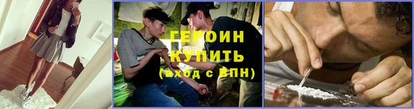прущие грибы Новодвинск