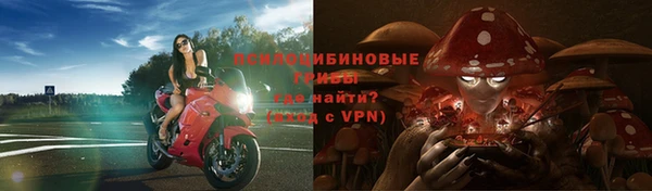 прущая мука Нея