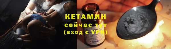 прущие грибы Новодвинск