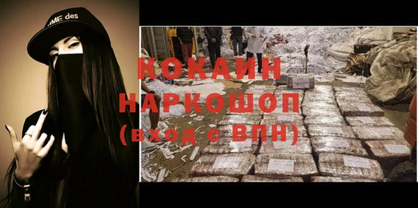 сатива Нефтекумск