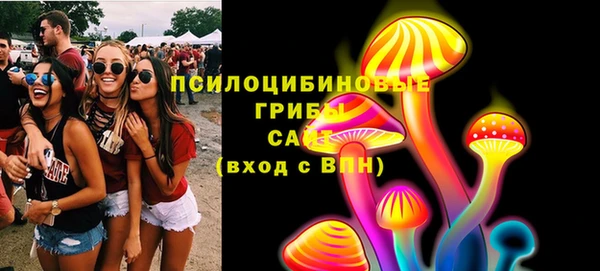 прущая мука Нея
