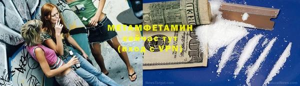 прущие грибы Новодвинск