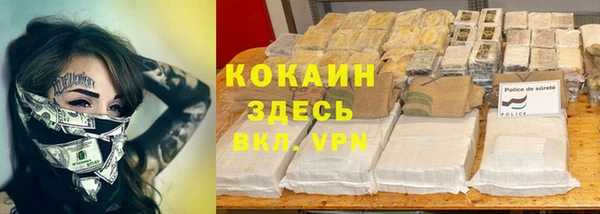 сатива Нефтекумск