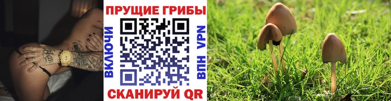 Галлюциногенные грибы ЛСД  Тула 
