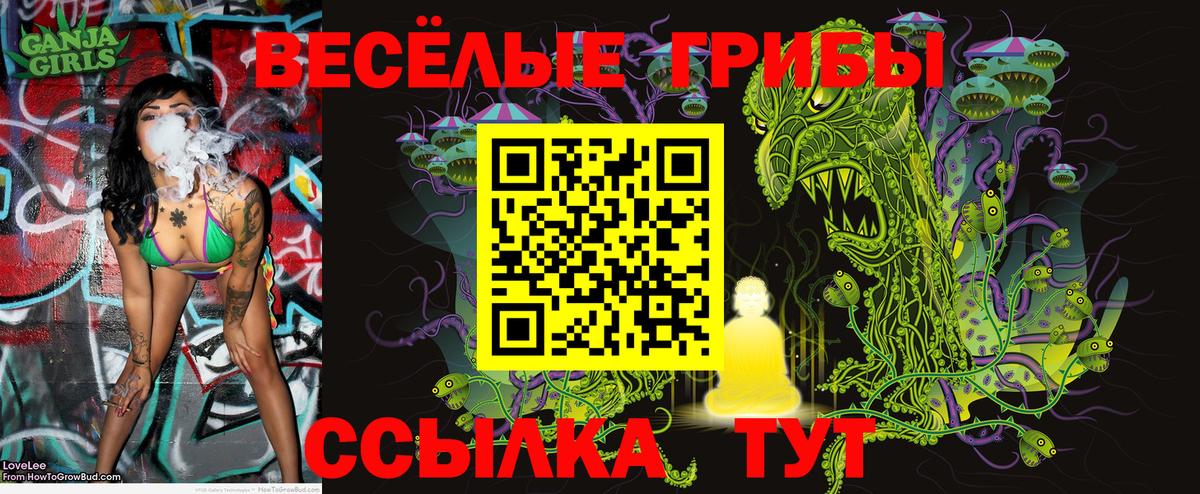 Галлюциногенные грибы Cubensis Тула