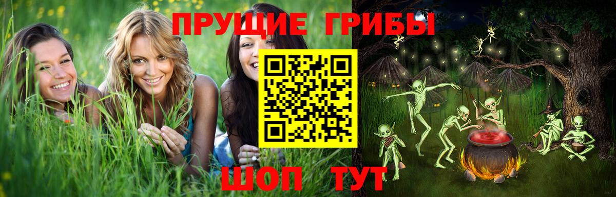 даркнет сайт  Псилоцибиновые грибы GOLDEN TEACHER  Вход с VPN  Псилоцибиновые грибы Cubensis  Тула 
